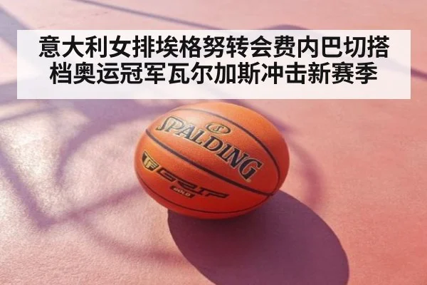 意大利女排埃格努转会费内巴切搭档奥运冠军瓦尔加斯冲击新赛季