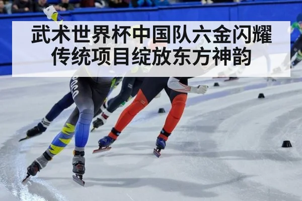 武术世界杯中国队六金闪耀传统项目绽放东方神韵